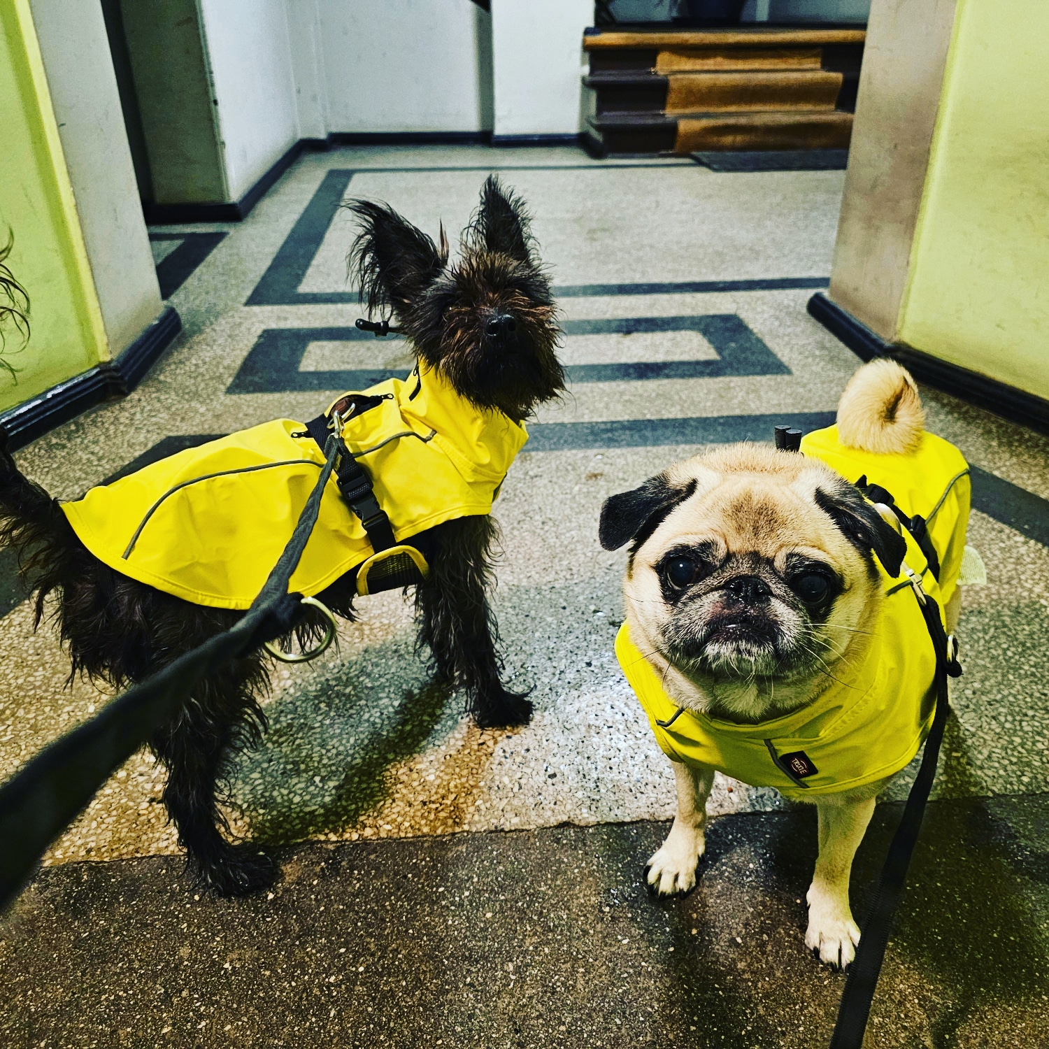 Frida und Emma tragen gelbe Regenmäntel.