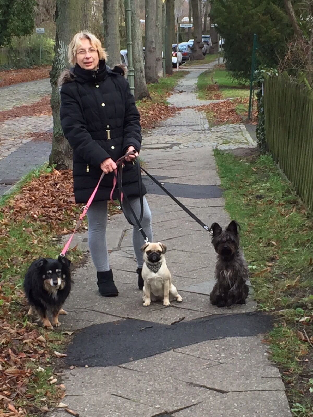 Eine Frau auf einem Spaziergang mit drei Hunden: Trixi links, Emma in der Mitte und Frida rechts
